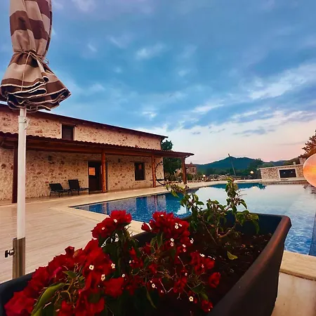 Stone House With Private Infinity Pool Villa Sarilar